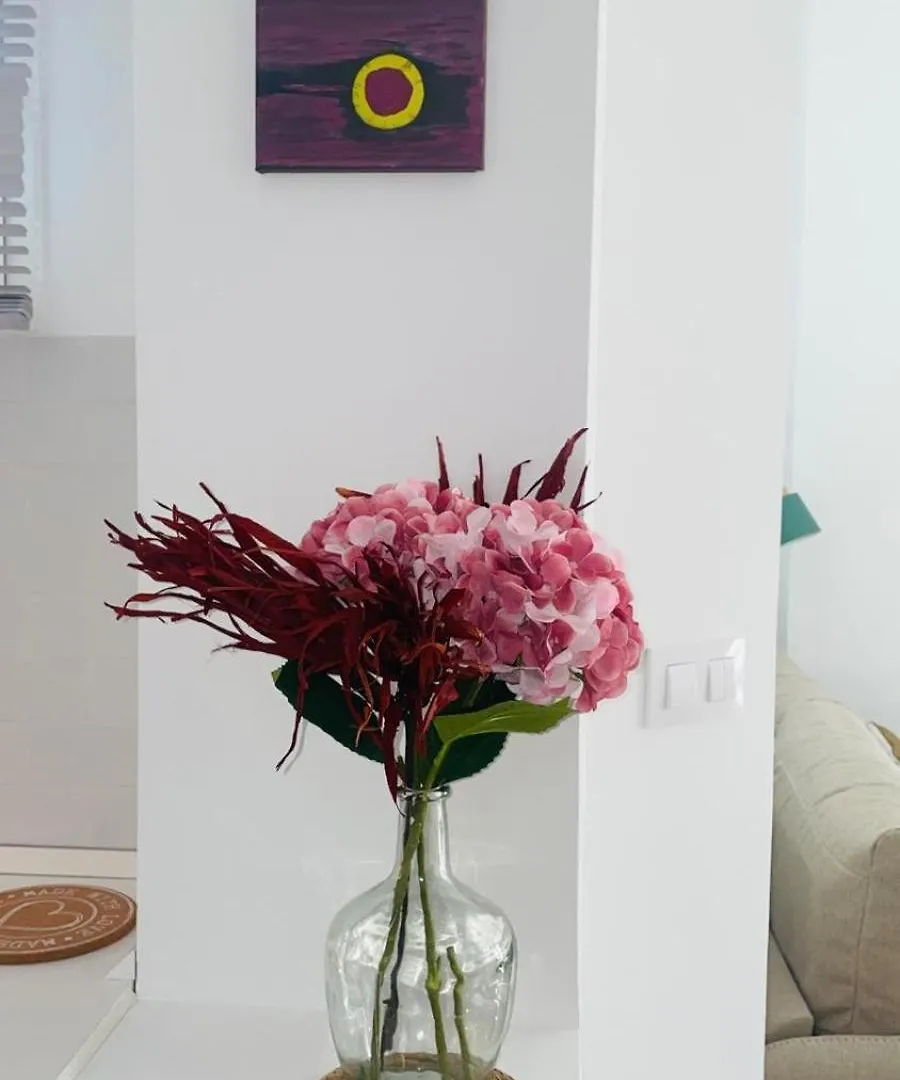 Apartment Hispalis Barrio De Santa Cruz Seville Spain